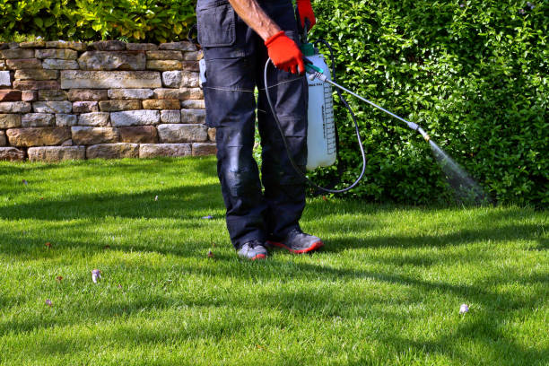 Best Pest Prevention Services  in , CA